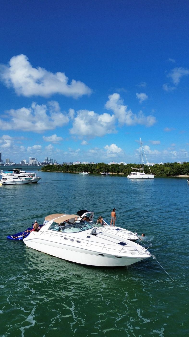Anchored off the sand with guests swimming alongside