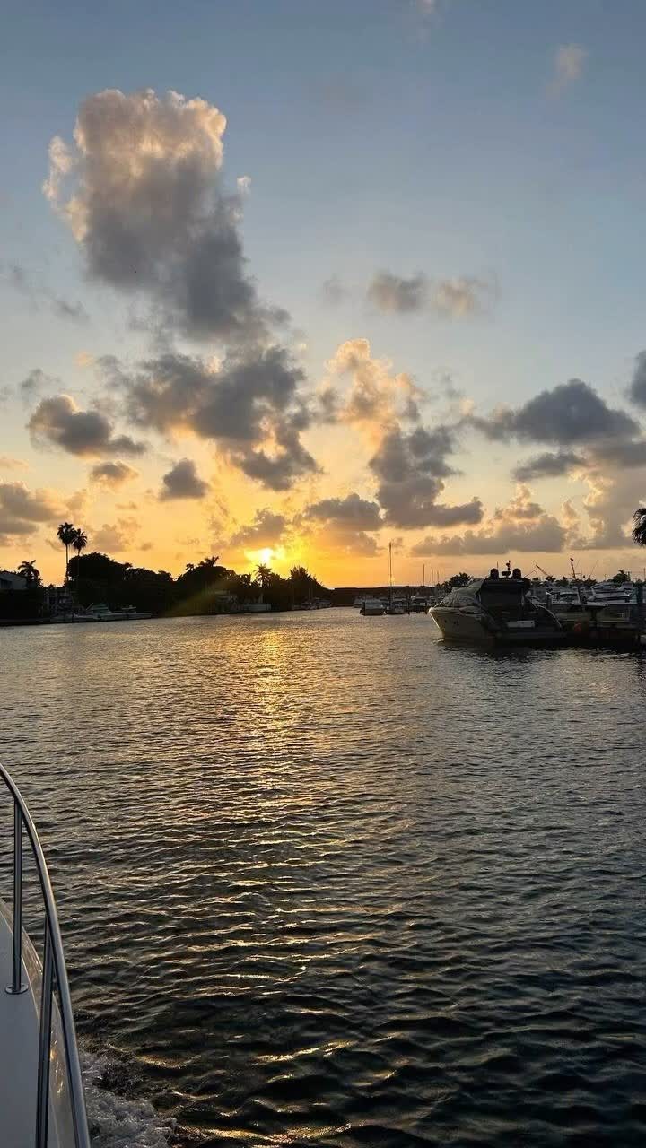 The sun going down over the water, seen from the boat with the mangroves in silhouette